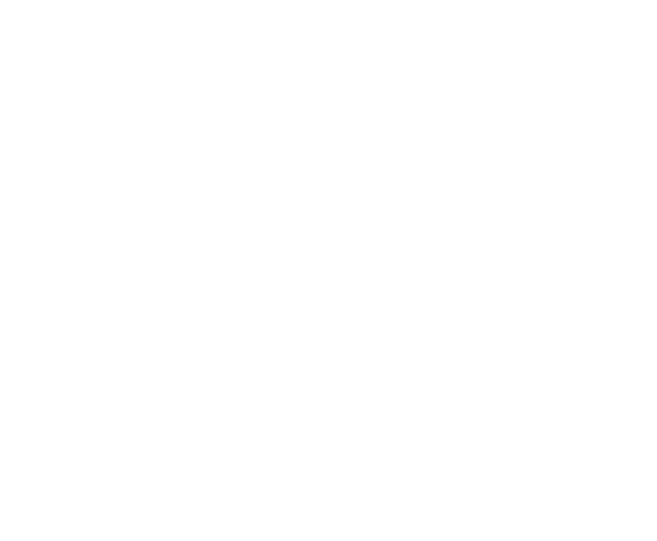 Network visualization